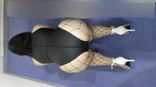 5692202.jpg (434KB)