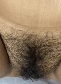 5694601.jpg (271KB)