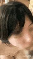 5705668.gif (452KB)