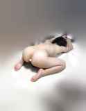 5708555.jpg 
								(4KB)