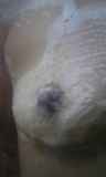 5710199.jpg 
								(9KB)