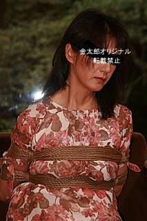 5711174.jpg (237KB)