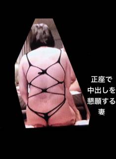 5711295.jpg (298KB)