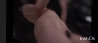 5712238.gif (26KB)