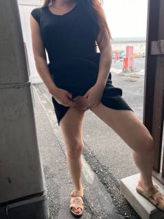 5733344.jpg (343KB)