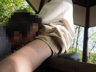 5748022.jpg (479KB)