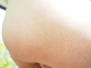 5749319.jpg (478KB)