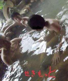 5749607.jpg (397KB)