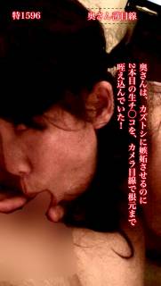 5768166.jpg (453KB)