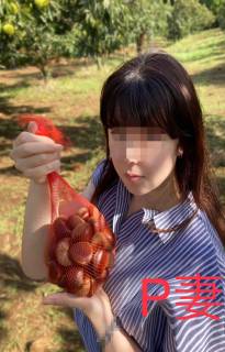 5783342.jpg (380KB)