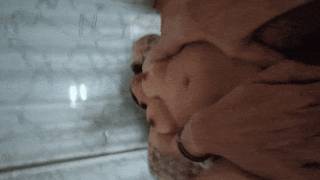 5784797.gif (444KB)