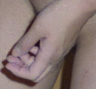 5785142.jpg (248KB)