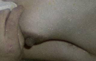 5798916.jpg (282KB)