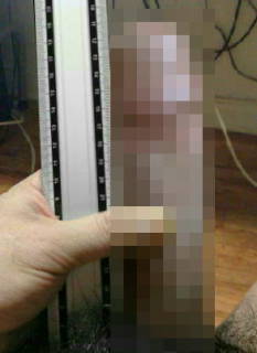 5799707.jpg (16KB)