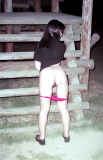 5806067.jpg 
								(31KB)