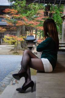 5808559.jpg (217KB)
