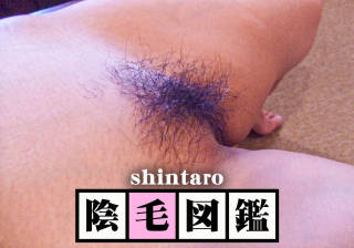 5808927.jpg (178KB)